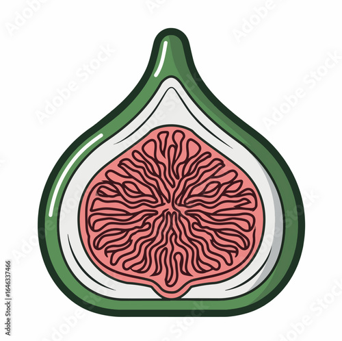 Minimalist vector illustration of a halved green fig with pink inner flesh and detailed seed patterns, outlined in bold black lines, isolated on a clean white background.