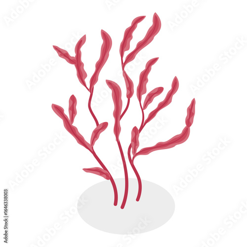 3D Isometric Flat Vector Set of Seaweeds, Marine Algae Collection. A set of various types of seaweed gathered from the ocean, perfect for showcasing the beauty of underwater flora.. Item 4