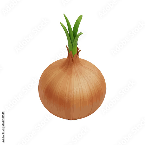 Detailed vector illustration of a whole brown onion with fresh green sprouts growing from the top.