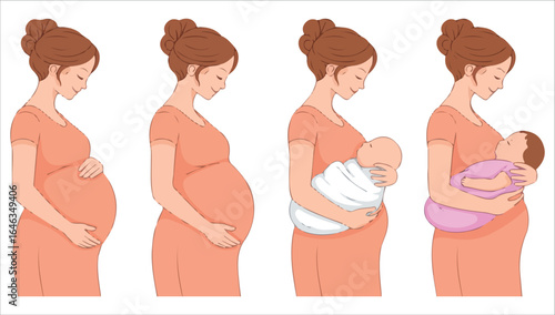 Womans body changes during pregnancy vector graphic