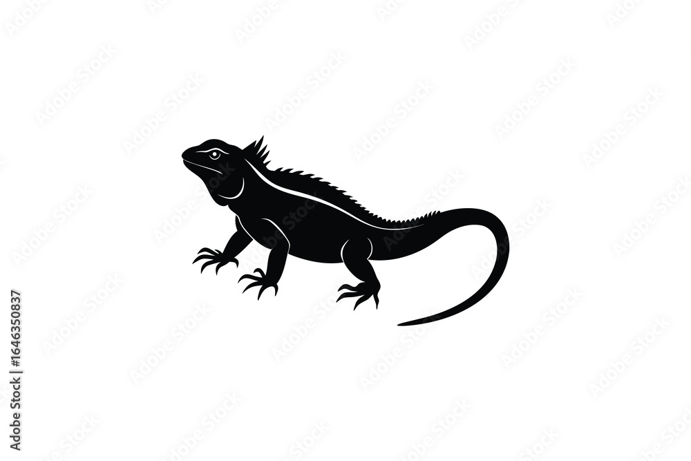 Fototapeta premium Black silhouette of an iguana lizard on a white background with detailed spiky back and long tail