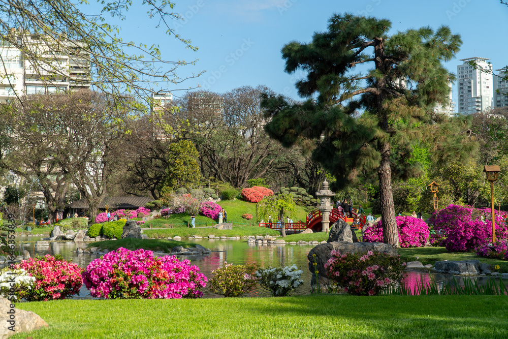 Obraz premium Jardín con flores y lago