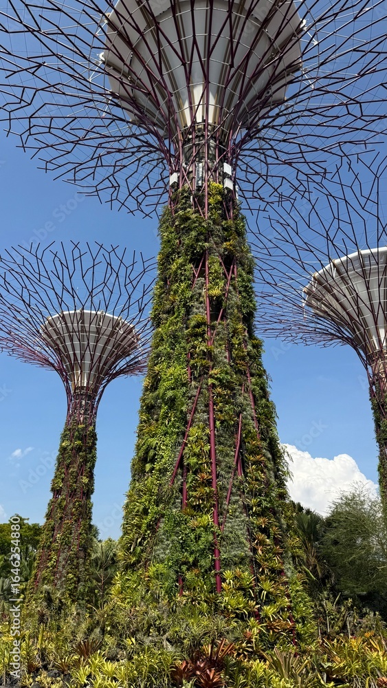 Fototapeta premium gardens by the bay