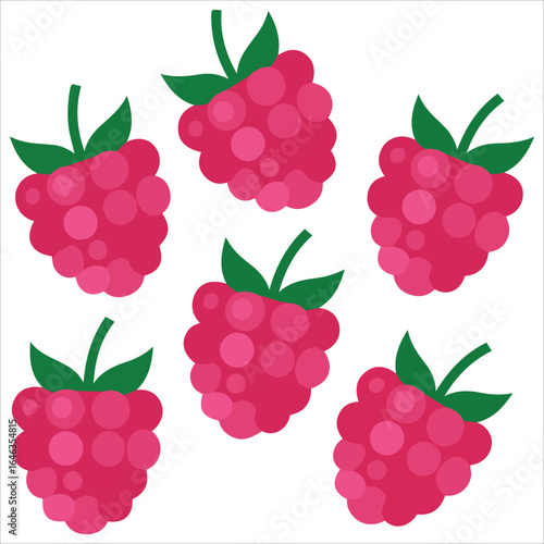Berry set sketch vector graphic white background