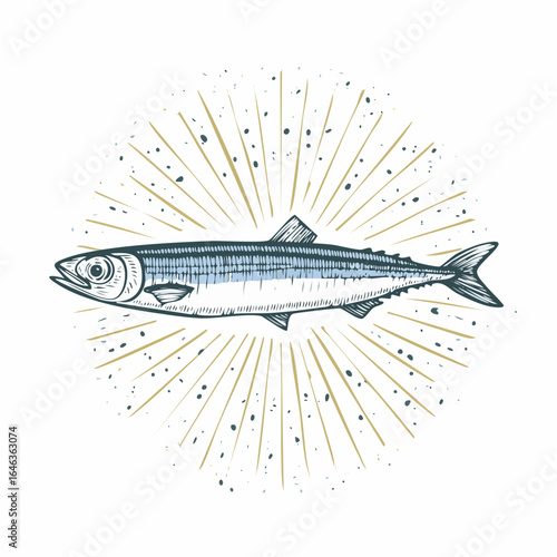 Hand drawn isolated Sardine Print. Vintage engraving illustration in ink line art style for t shirt, canvas, poster or placard, collage element.