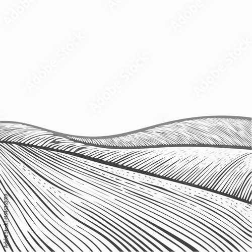 Charcoal or chalk textured vineyard, tea, coffee or rice field vector seamless texture. Agriculture abstract seamless pattern with waved stripes.