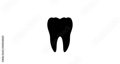 Object dental molar tooth anatomy illustration for dentist education and oral hygiene information resources online vector