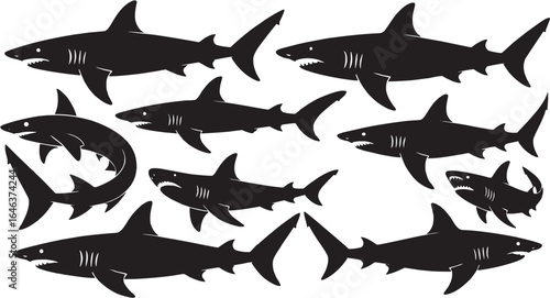 Multiple Sharks Silhouette Swimming Vector Illustration
