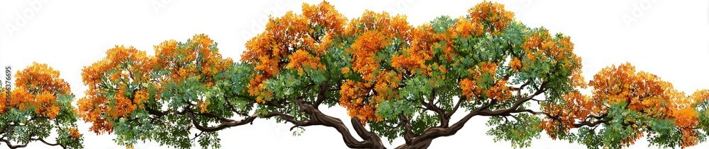 Naklejka premium A vibrant display of multiple trees with orange flowers and green leaves on branches