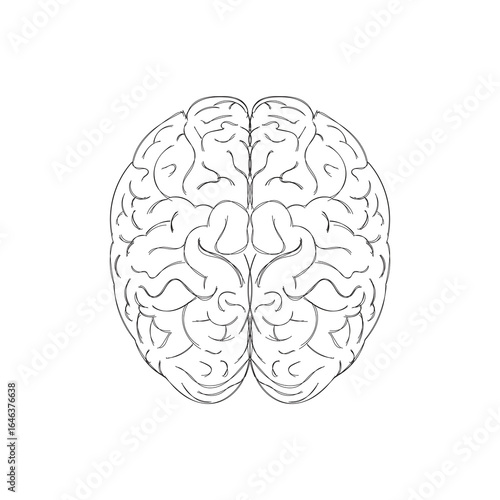 Design brain line sketch hand drawn isolated on white background