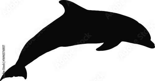 Dynamic black dolphin silhouette leaping joyfully from water, symbolizing freedom and oceanic wonder