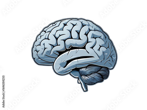 flat vector illustration of the human brain