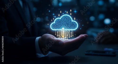 Secure Cloud Computing Data Storage, Backup Access Solutions