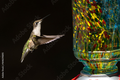 hummingbird flying next to a colorful feeder