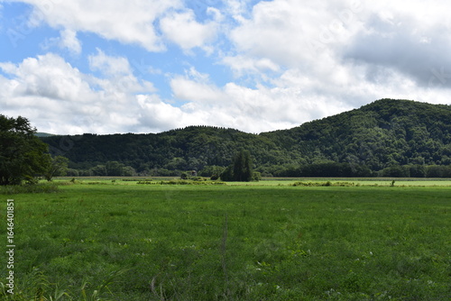 Wallpaper Mural 夏の北海道 Torontodigital.ca