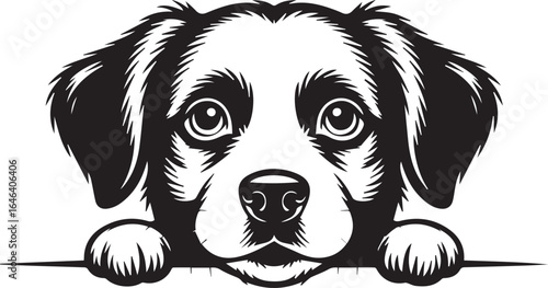 curious dog peeking above ledge black and white vector illustration long haired ears paws playful pet outline neat style