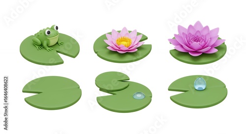 Water lily pads and lotus flower with frog