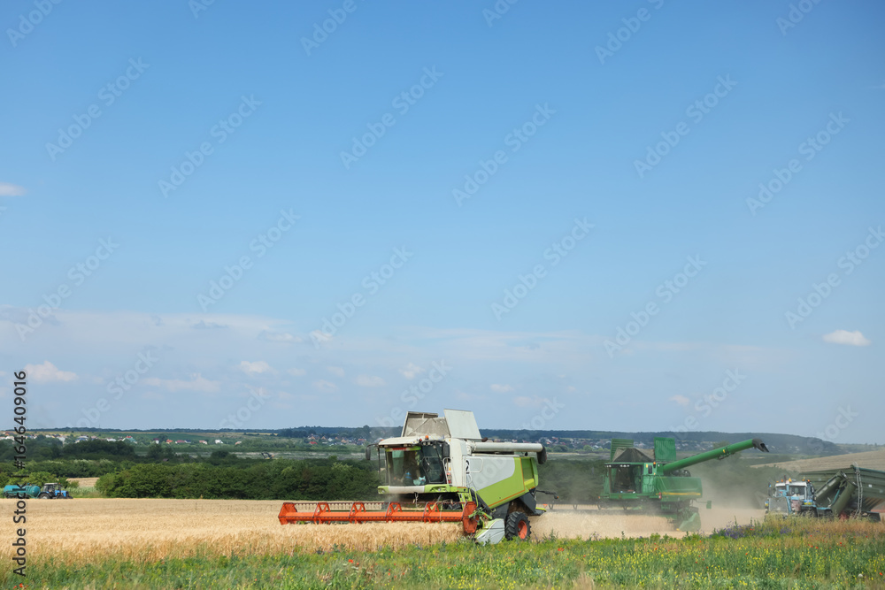 Fototapeta premium Modern combine harvesters and tractor working in wheat field