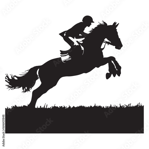 silhouette of a horse and rider during a show jumping event.