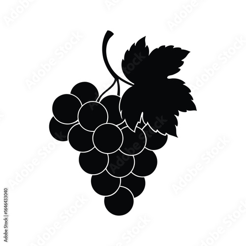 bunch of grapes vector illustration