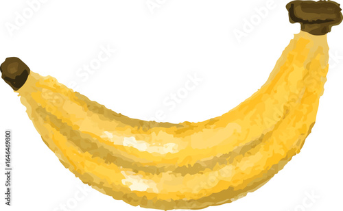 Vector hand drawn oil pastel painting Banana on white background, Single Banana Fruit Vector Illustration, Natural hand drawn Single Banana