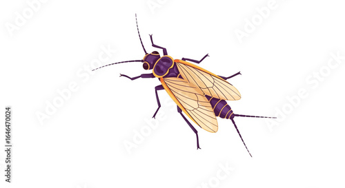 Elegant insect portrayal exhibiting detailed wing venation and intricate leg structure