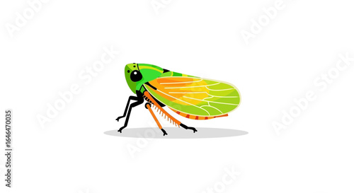 Exotic Leafhopper Insect Illustration with Vibrant Green and Orange Wings