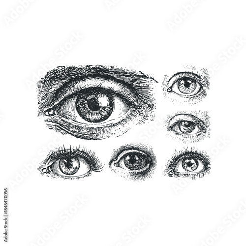 Collection of Vintage Engraved Human Eyes and Eyelashes