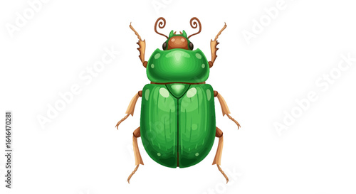 Shiny green beetle illustration with curled antennae on white backdrop