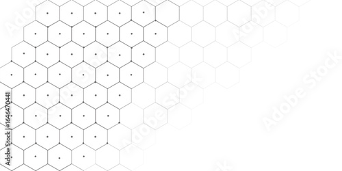 Background with hexagons . Abstract background with lines . white texture background.