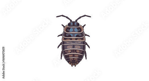 Cartoon-style illustration of a woodlouse or pill bug on white background