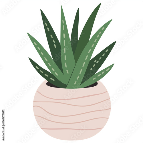 potted succulent plant vector art isolated white