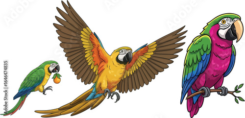 Vibrant collection of cartoon tropical parrots, including macaws flying and perched on a branch