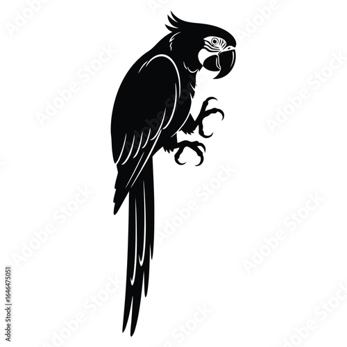 Silhouette of a Majestic Macaw Parrot Perched on a Branch, Vector Illustration