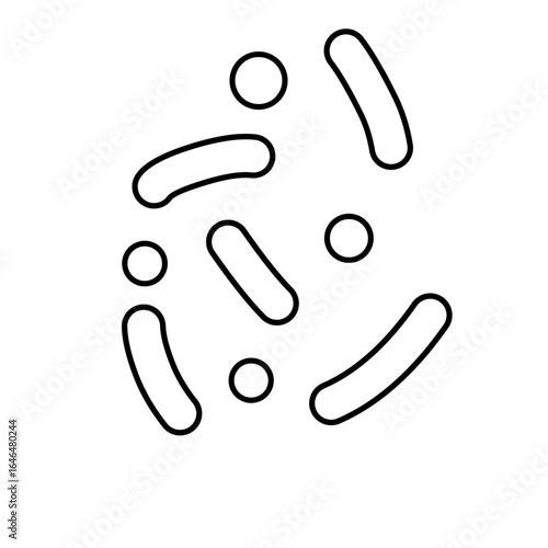 outline of lactobacillus bacterial microorganisms