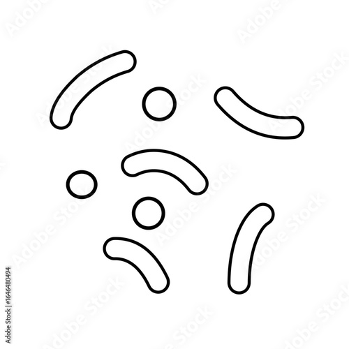 outline of lactobacillus bacterial microorganisms