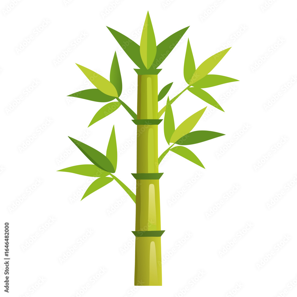 Naklejka premium bamboo isolated on white background