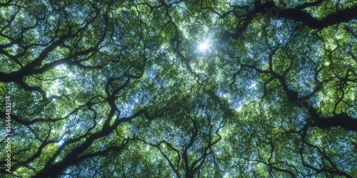 DOSSEL DA FLORESTA TROPICAL DENSA COM RAIOS DE SOL