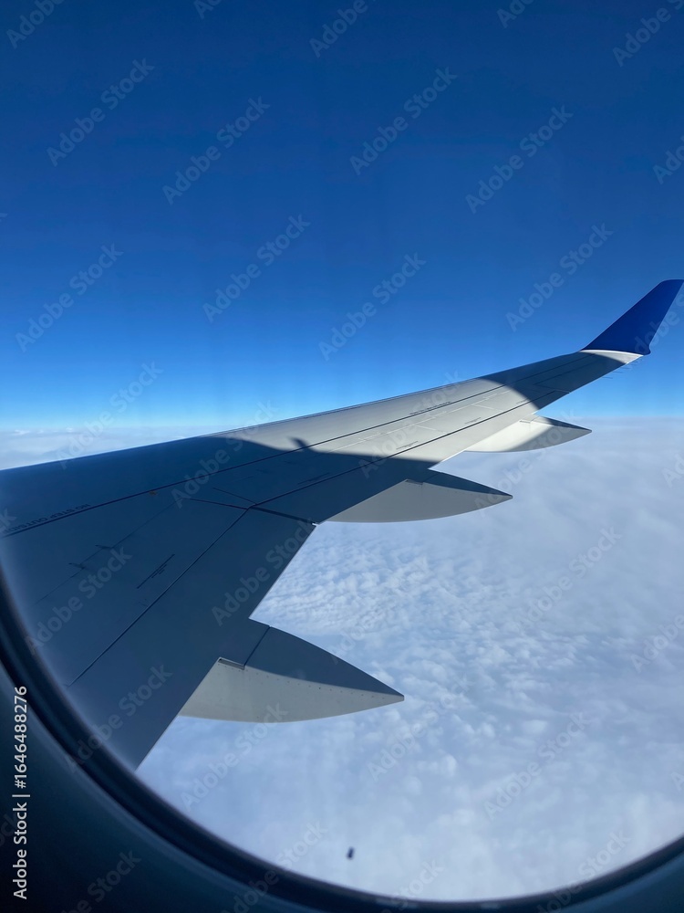Fototapeta premium view from airplane window