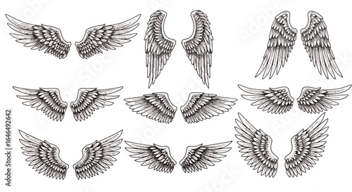 A comprehensive collection of beautifully detailed vintage engraved wing designs, perfect for graphic design projects and decorative elements on a white background.