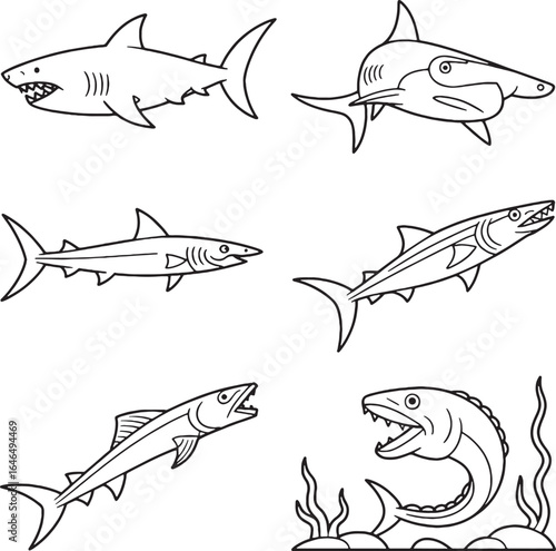 Assortment of Line Art Sharks and Barracudas in Ocean Environment fish predator
