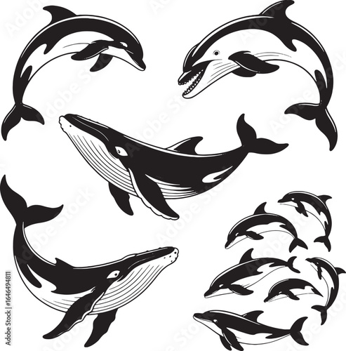 Collection of stylized black and white illustrations of dolphins and whales marine life ocean