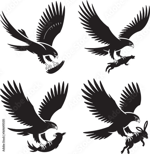 Eagles in flight catching prey like fish and rabbits bird of prey hawk