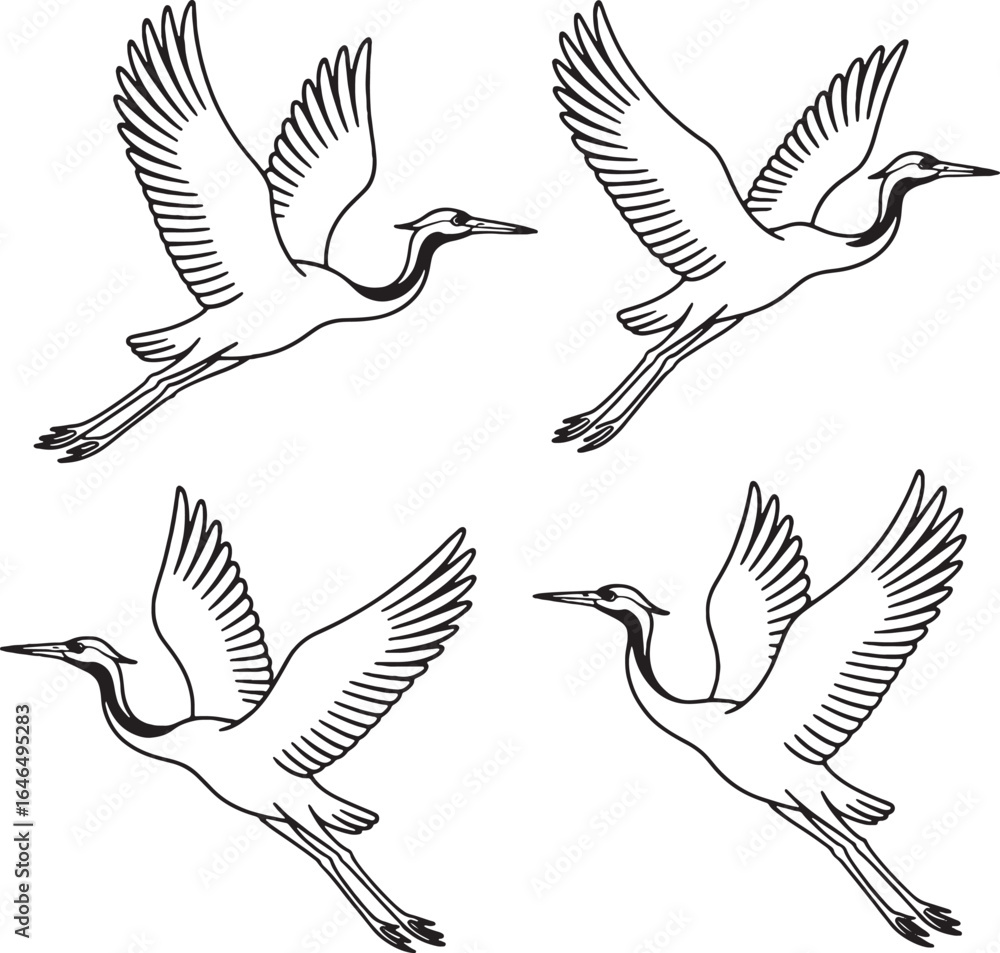 Fototapeta premium Flying Cranes in Black and White Illustration