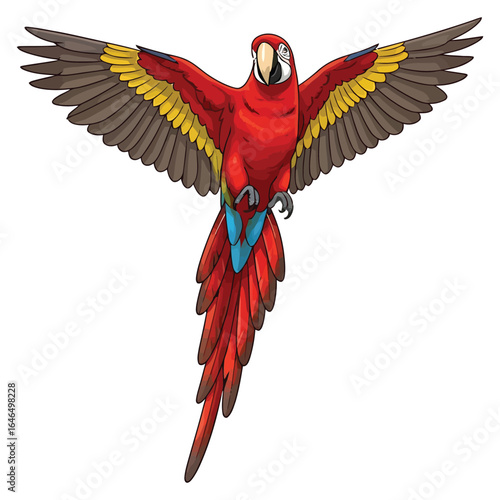 Majestic scarlet macaw parrot in full flight, a vibrant tropical bird illustration with wings spread