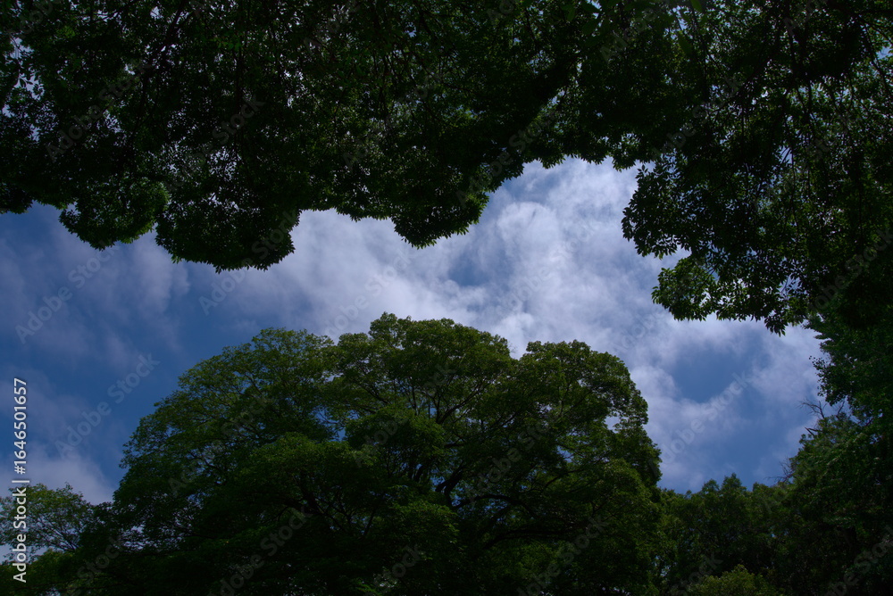 Obraz premium Tokyo,Japan