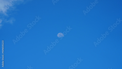 Daytime view of the moon set against a vivid blue sky, with a small cloud visible in the upper left corner. The clear atmosphere and bright background create a serene, minimalist composition.
