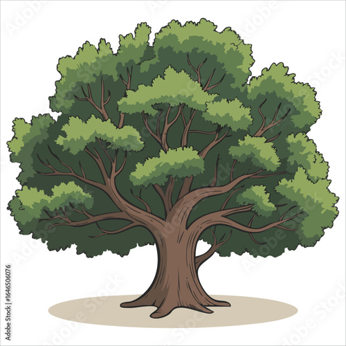 detailed hardwood forest species vector graphic plain background
