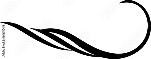 Line flourish clip art design on plain white transparent isolated background for card, shirt, hoodie, sweatshirt, apparel, tag, mug, icon, poster or badge