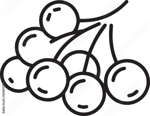 Delightful cherry bunch illustration for summer designs, fresh food projects and healthy living promotions, originally a scalable graphic design